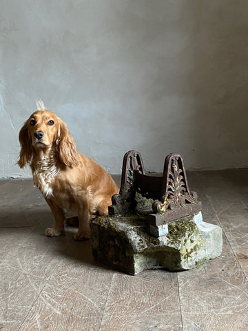 Cocker Spaniel & Boot Scraper