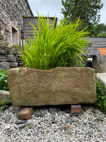Trough used as a planter