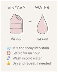 Vinegar Stain Removal