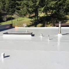 Roofing Membranes