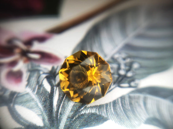 Inside Citrine Fancy Shape Colored Gemstone by Bena Jewelry in Montreal