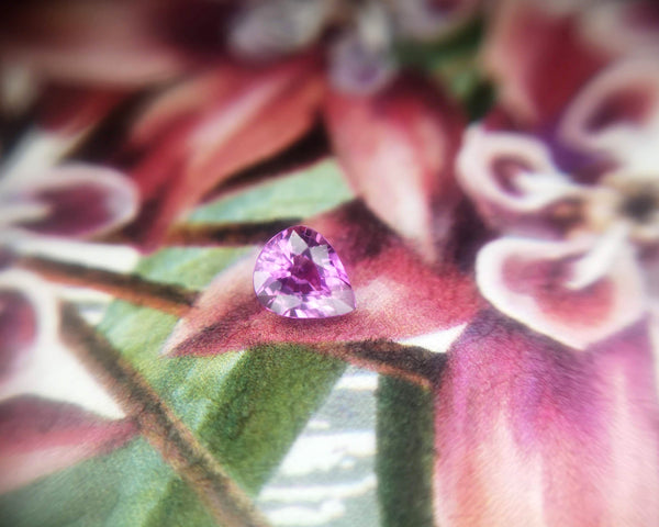 Small Pink Pear Shape Sapphire by Bena Jewelry Designer