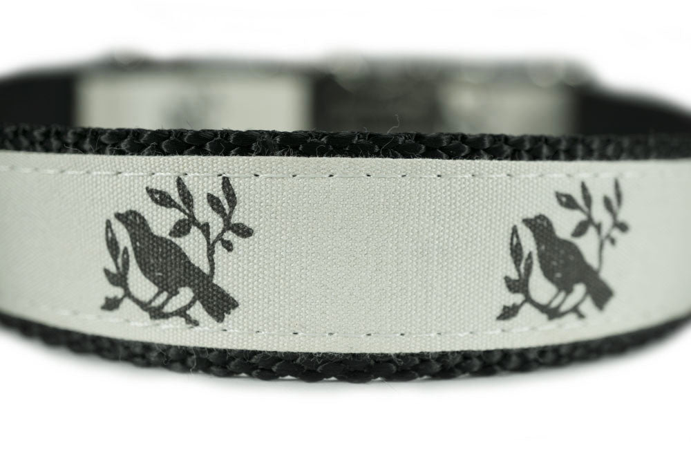 metal engraved dog collar