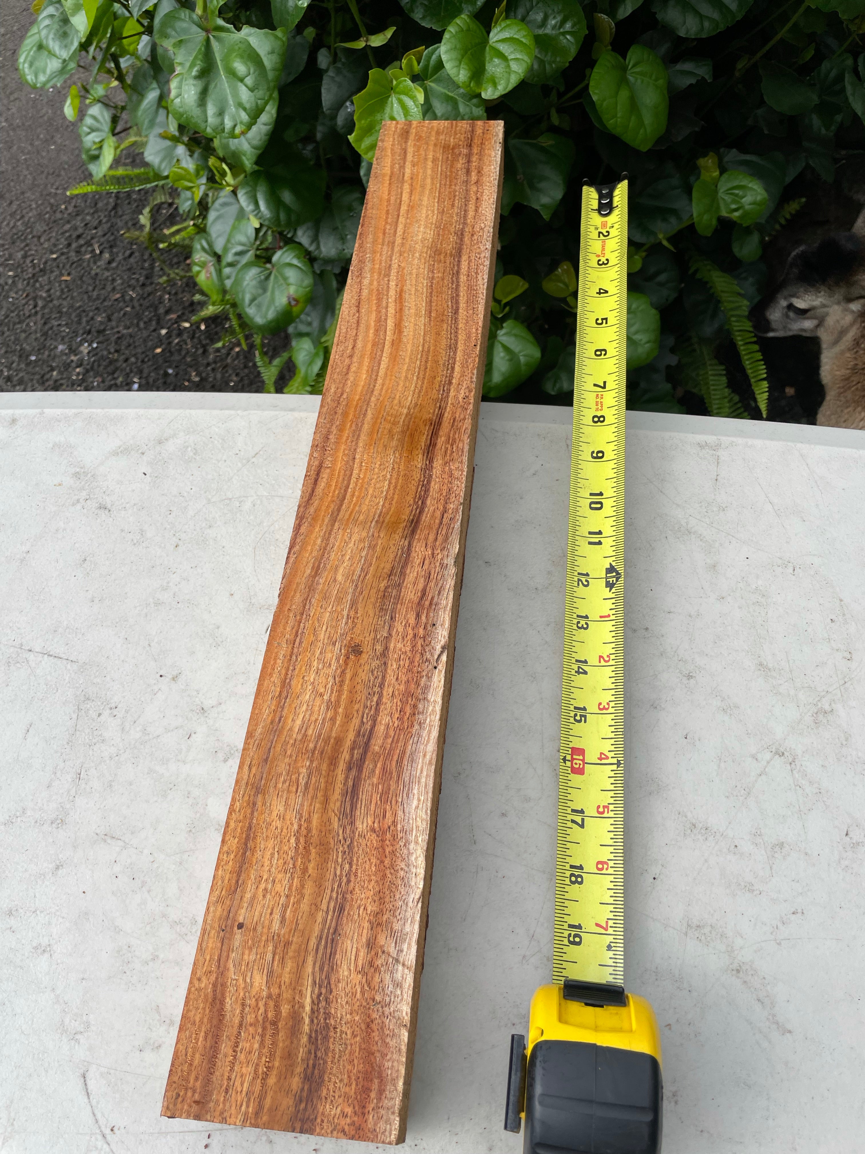 Curly Hawaiian Koa pool cue turning blank