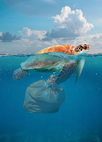 Painting of sea turtle with large plastic bag stuck and dragging below its body