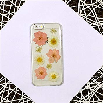 coque iphone 5 fleurs seches