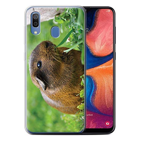 coque samsung a20e animaux mignon