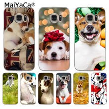 coque samsung a20e jack russel