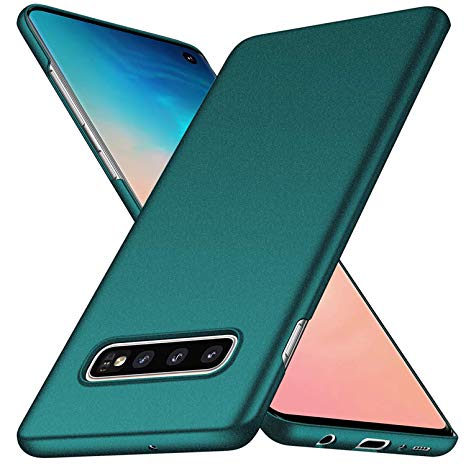 coque samsung s10 fine