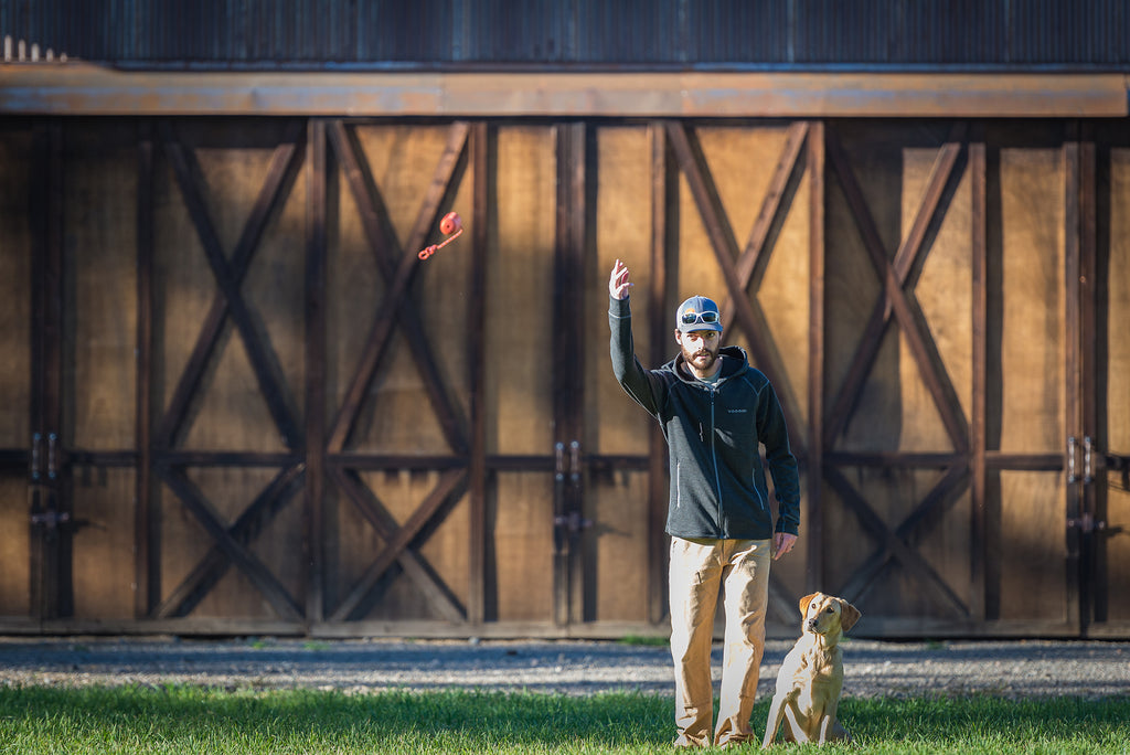 With the waterfowl season behind us, now is a great time for some dog training in the backyard. 
