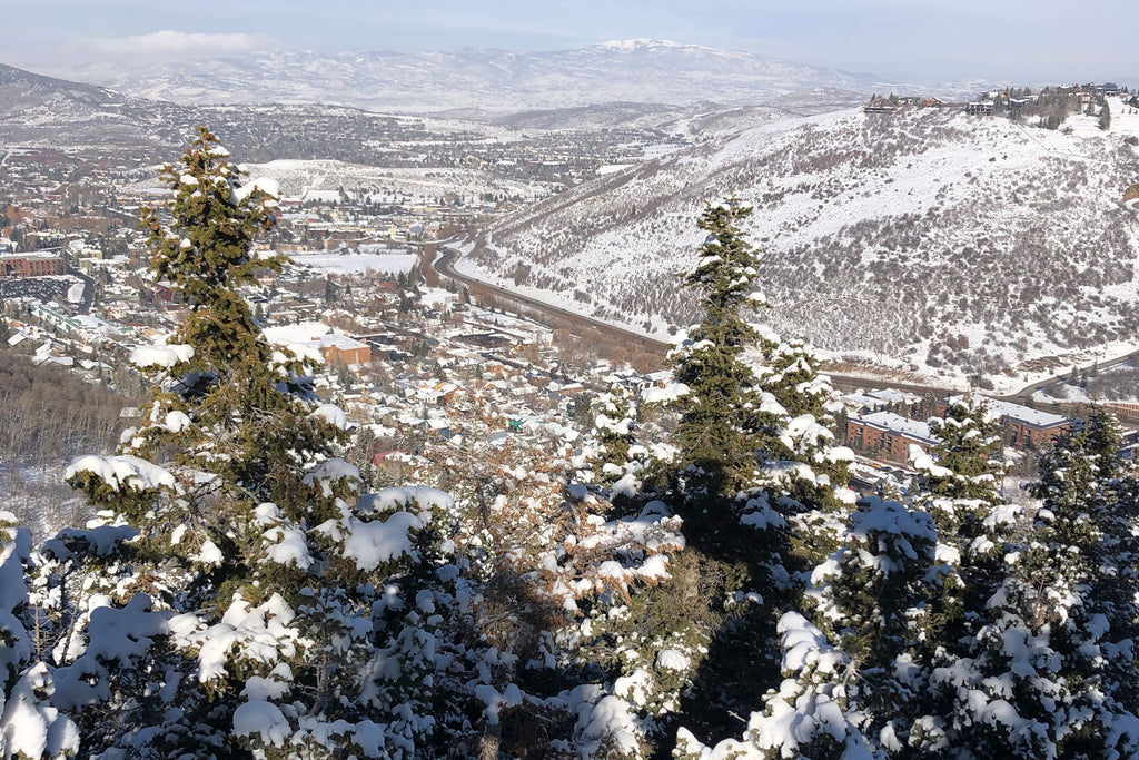 View of Park City from the mountain 