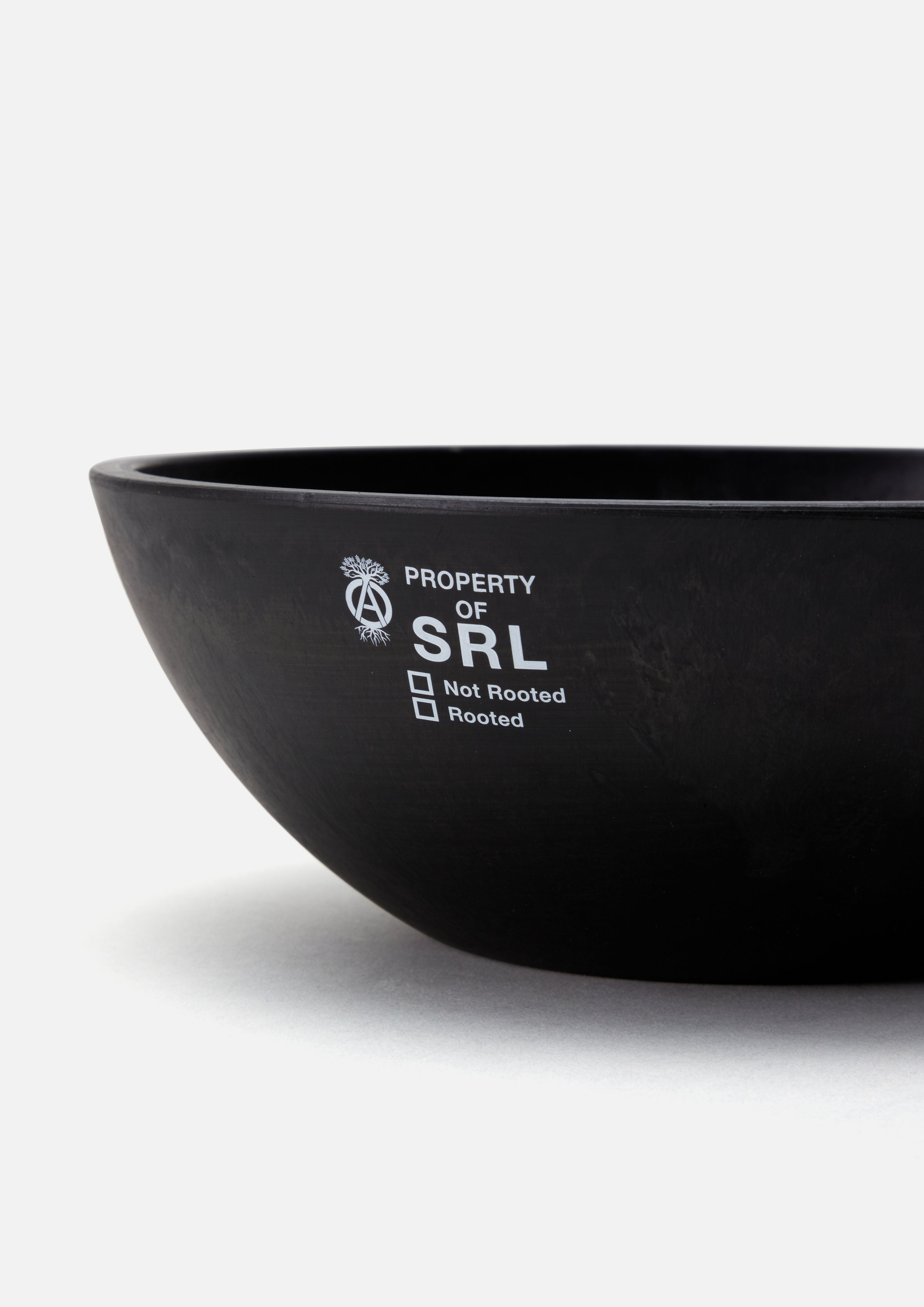 希少　SRL . BOWLTYPE PLANT POT-XL . PP