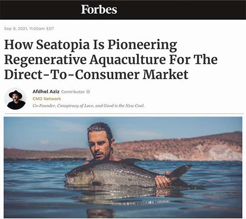 Seatopia Forbes