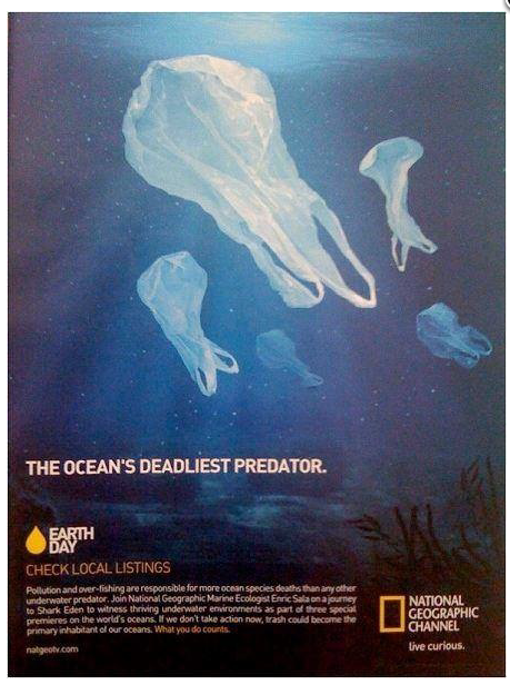 plastic bags are the deadliest element in the oceans