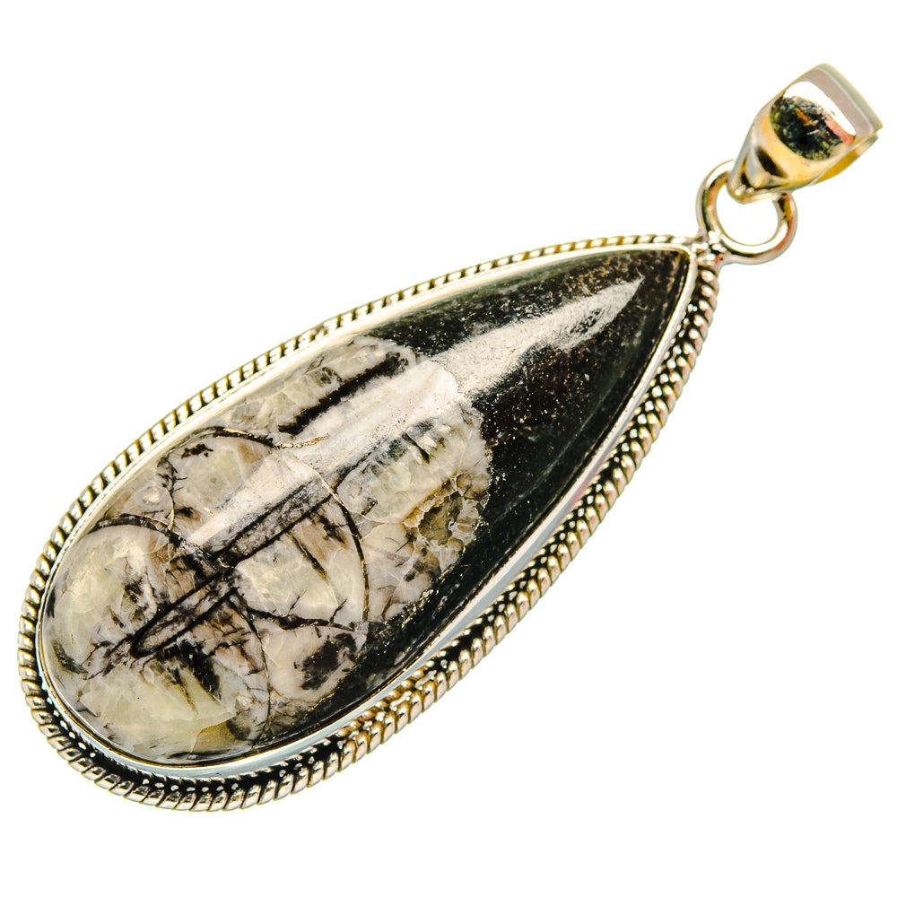 Sammeln & Seltenes Orthoceras Fossil Pendant Pendant Only Crystal Jewellery  FLASH SALE ✓ UK Seller Mineralien & Fossilien LA2439032