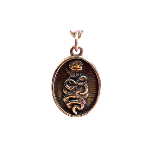 Botryoidal Chrysocolla Copper Snake Pendant Copper Necklace – CosmicDeva