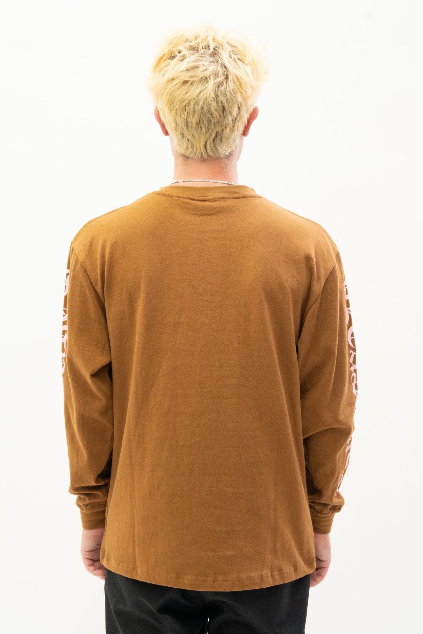 Pleasures Old E Heavyweight Longsleeve in Brown