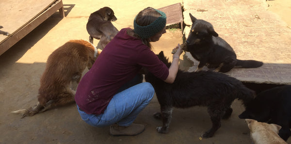 Andrea from Street Dog Care kathmandu at the shelter