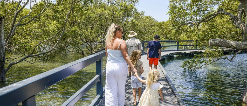 Currambene Creek Mangrove Boardwalk Huskisson