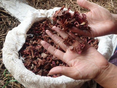 Surya Natural dyes from Nepal