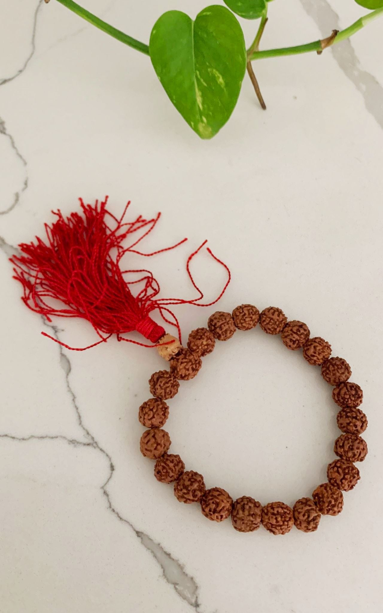 Rudraksha Seed Bracelet