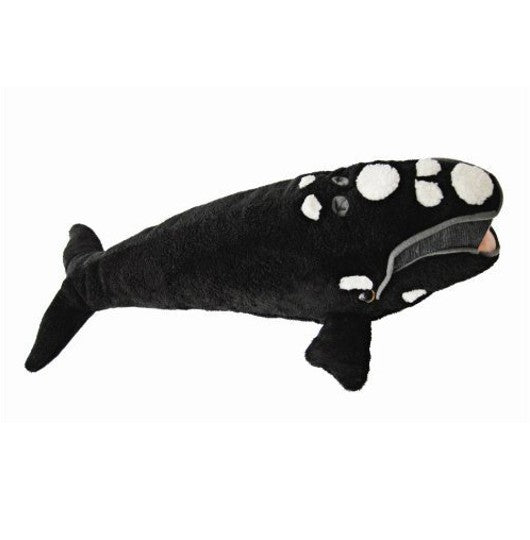humpback whale stuffed animal