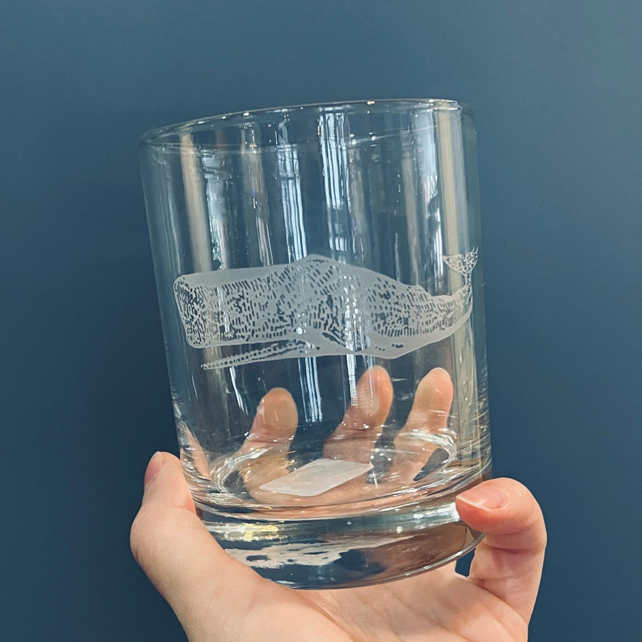 https://cdn.shopify.com/s/files/1/0223/1425/products/white_whale_old_fashioned_glass_460x@2x.jpg?v=1662739844