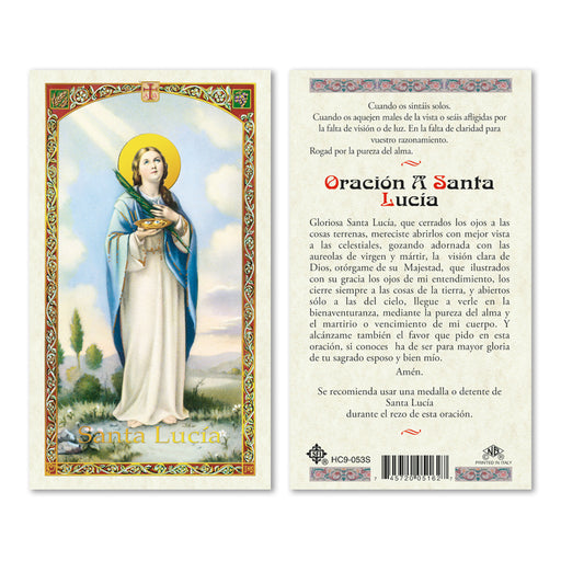 25/pkg Immaculate Conception Wallet Size Prayer Card Spanish 