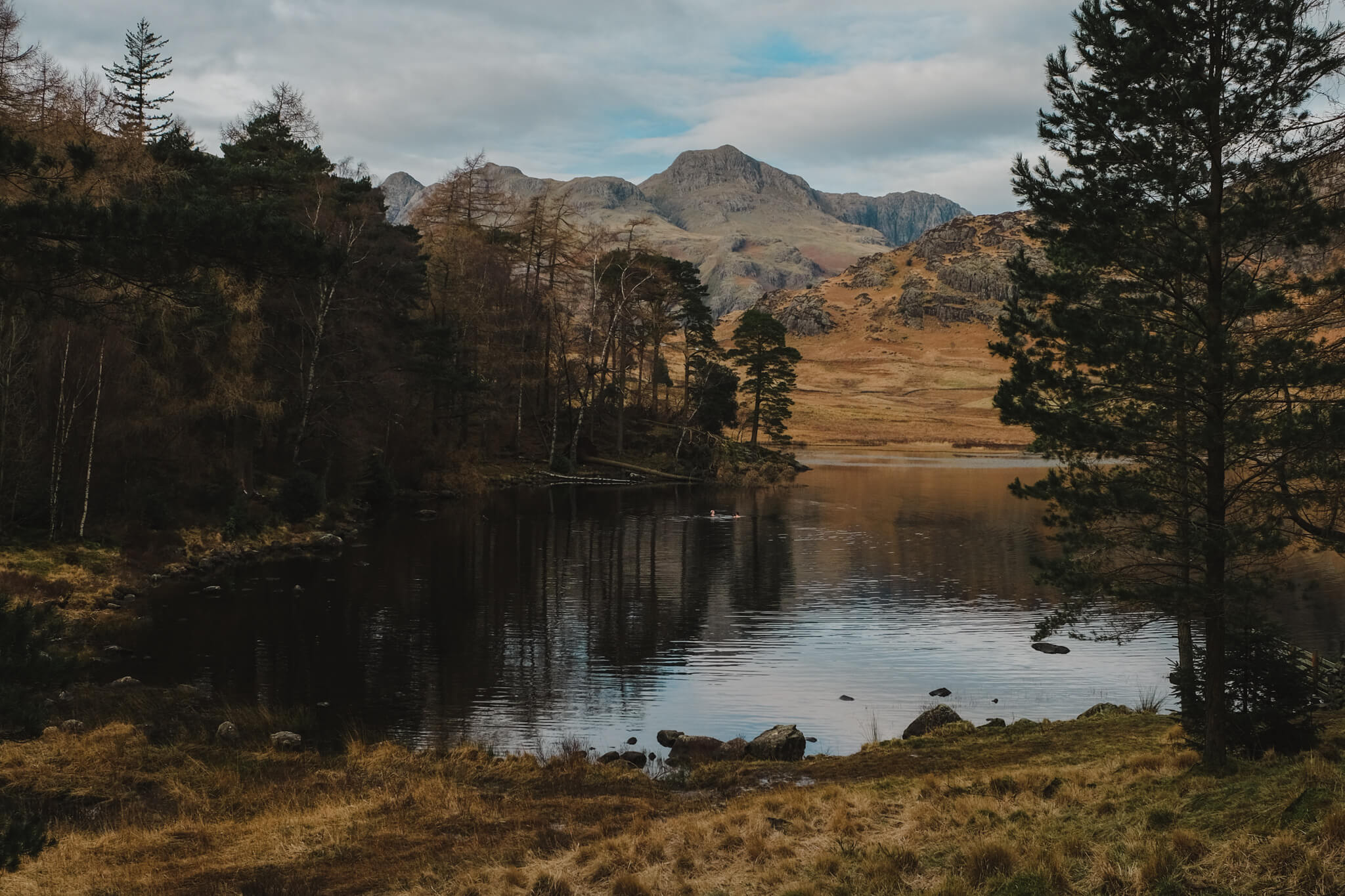 Wild swimming in the lake district