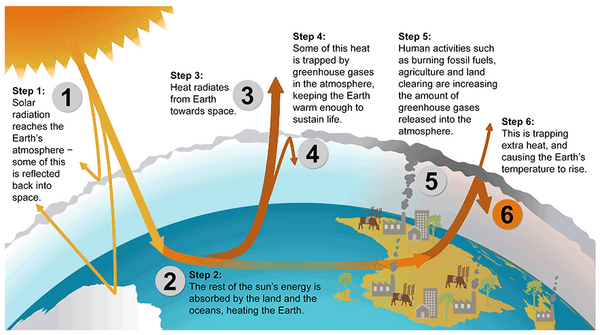 The greenhouse effect