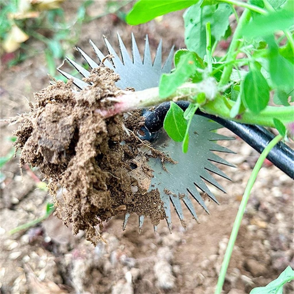 GardenMaster Weeding Tool