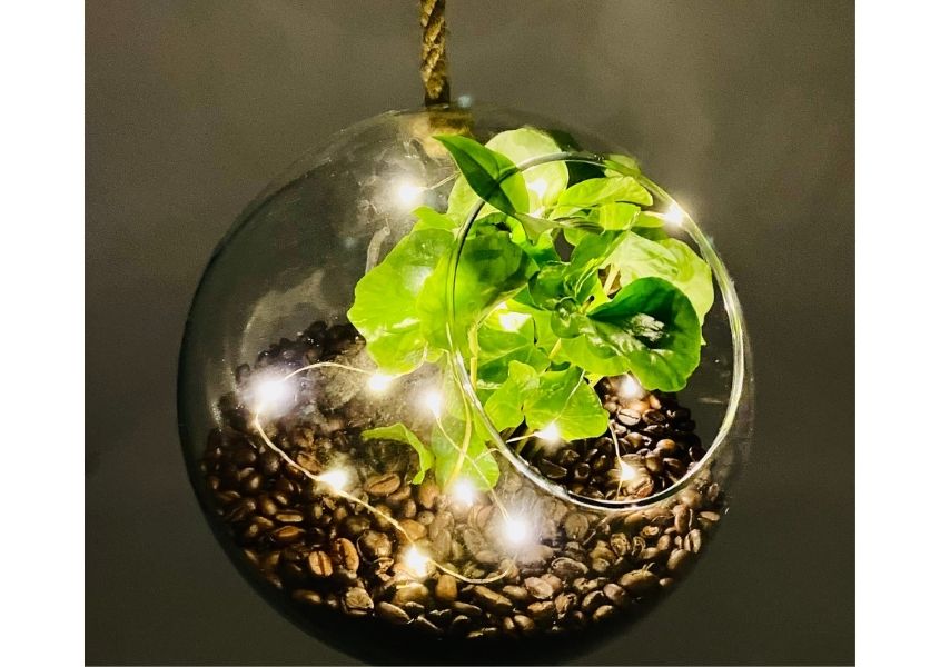 coffee plant christmas bauble for best Christmas decorations 2021 blog