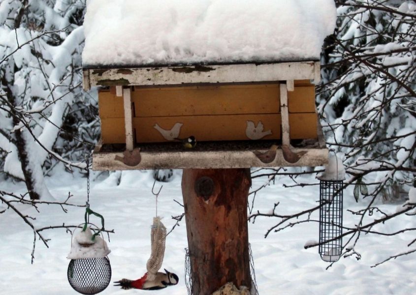 Wooden bird feeder in snowy woods with large pile of snow on roof