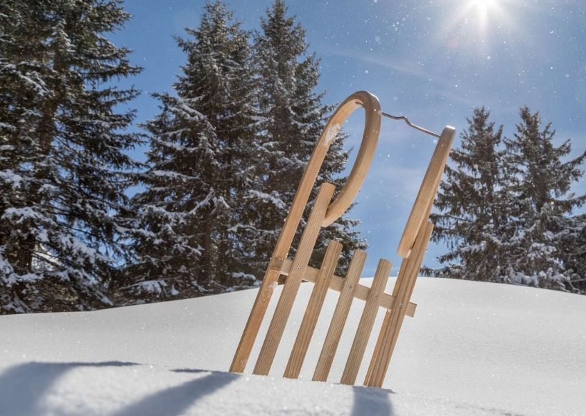 Wooden sledge stuck in snow with snow covered pine trees and blue sky