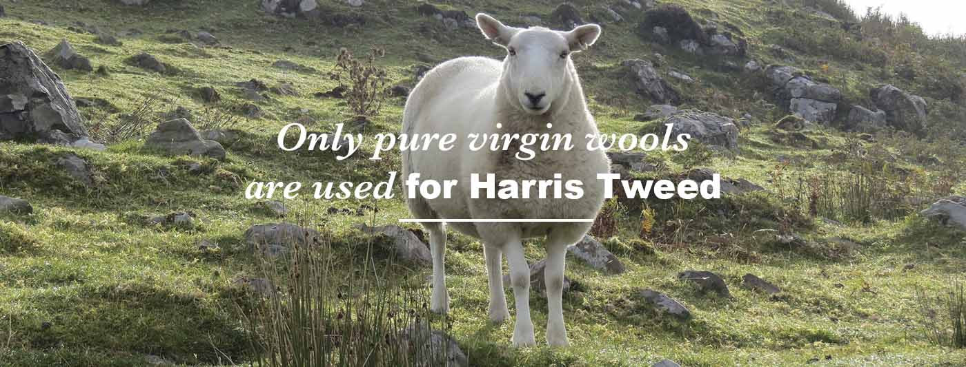Harris Tweed wool behind the scenes Modish Living
