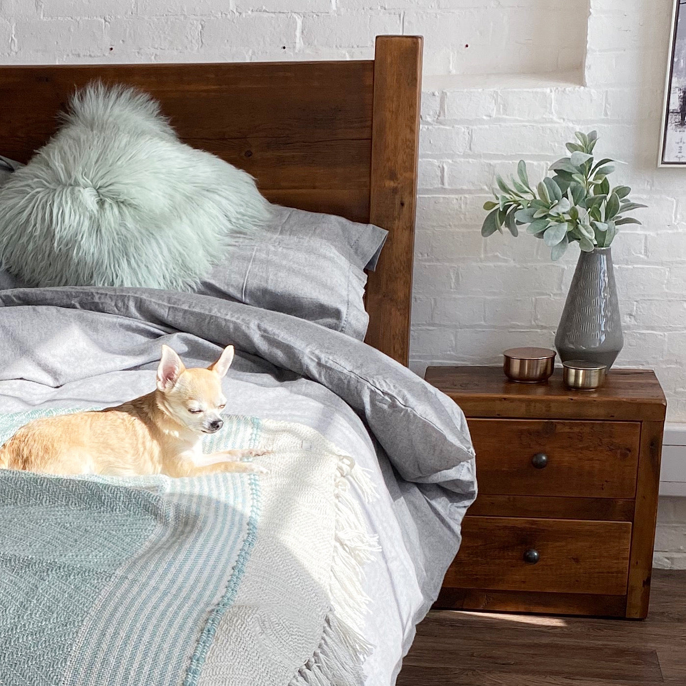 reclaimed solid wood bed frame with wooden bedside table and small dog on bed