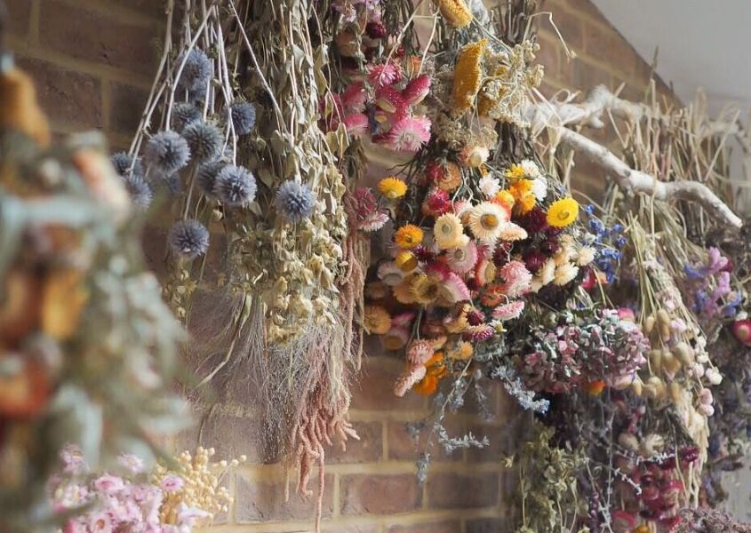 Variety of dried flowers hanging off a branch in a studio