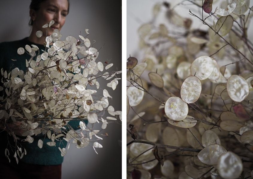 Woman holding bunch of dried flowers and close up of flowers