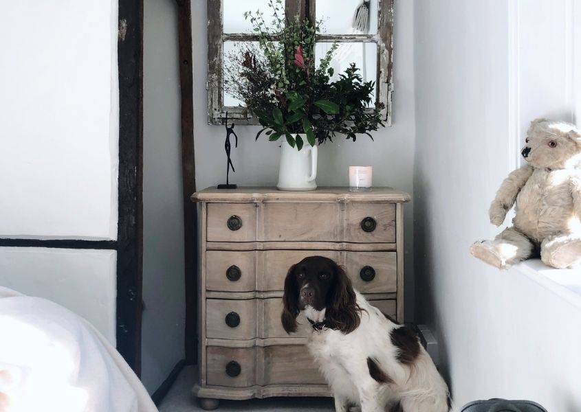 wooden chest of drawers with dog and jug of flowers