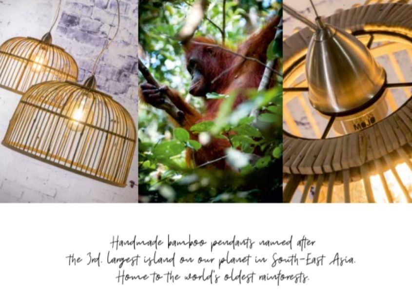 Multiple images of close up of bamboo pendant ceiling light, orangutan in jungle and hanging lights