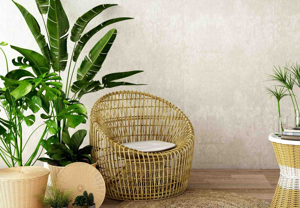 Rattan armchair next to tall green house plants