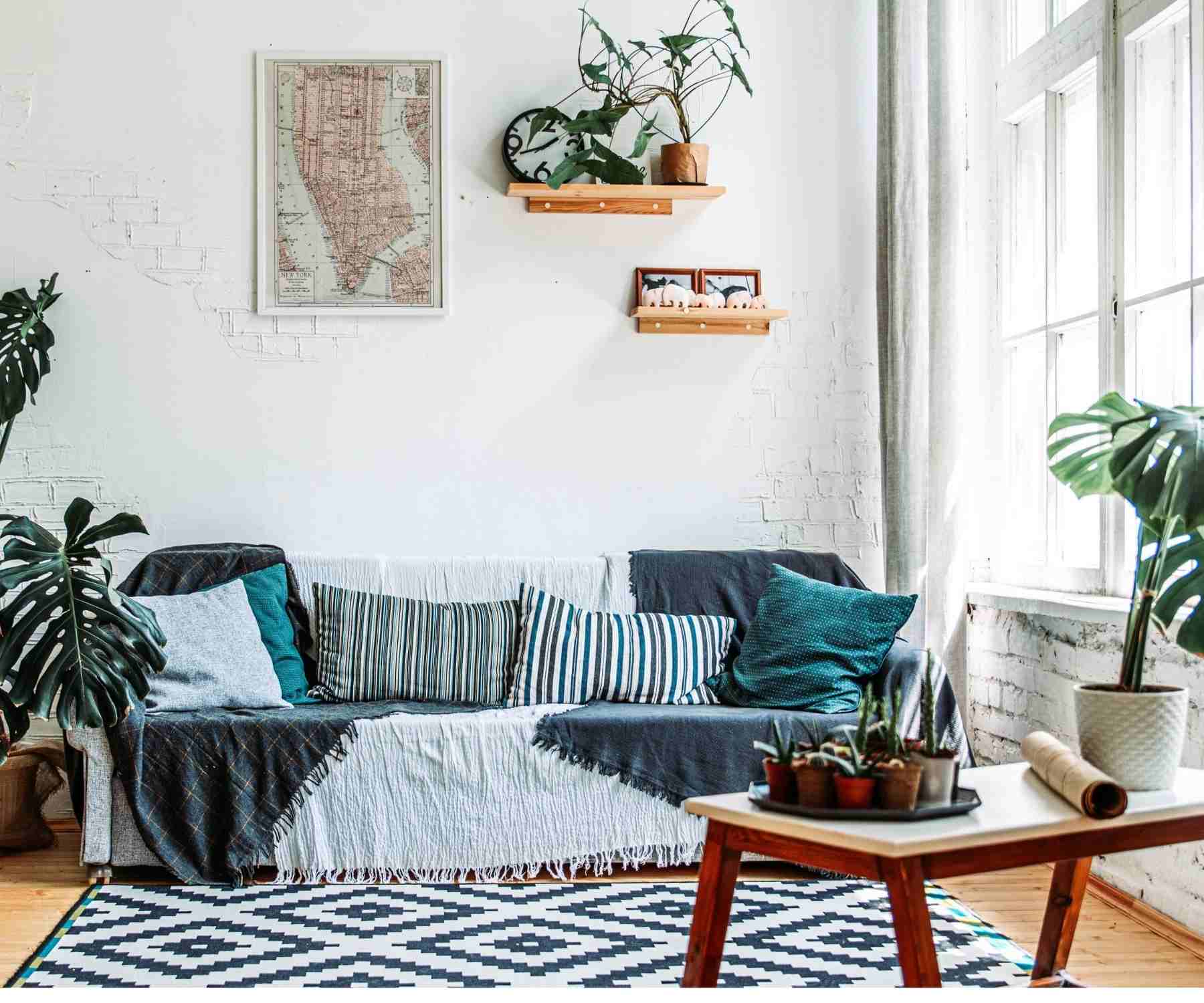Living room featuring sofa with white and grey throw, plants and large rug