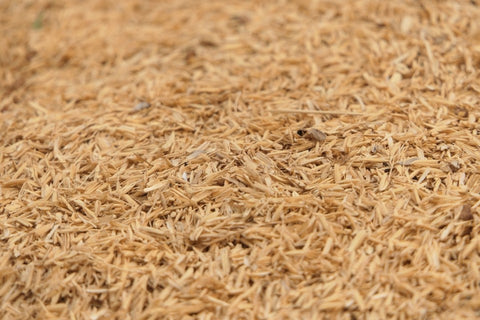 Rice bran