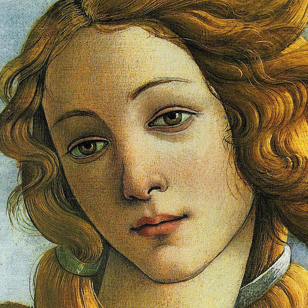 The Birth of Venus (detail) | McGaw Graphics