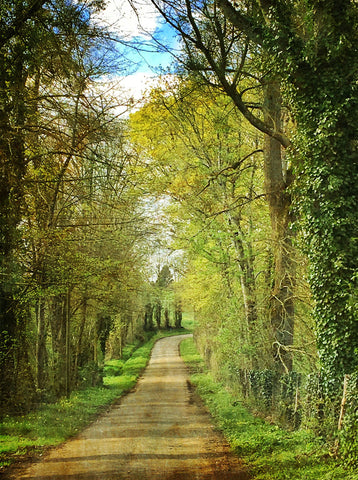 Springtime in Normandy | McGaw Graphics