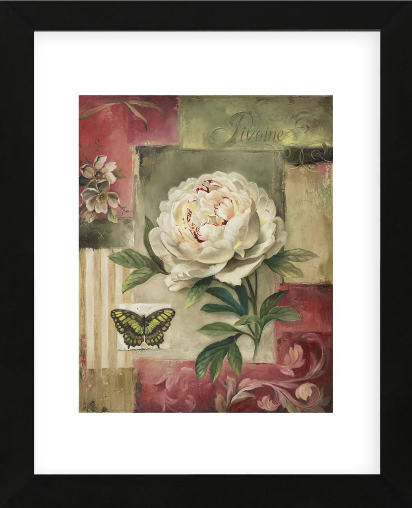 Peony and Butterfly (Framed) | McGaw Graphics