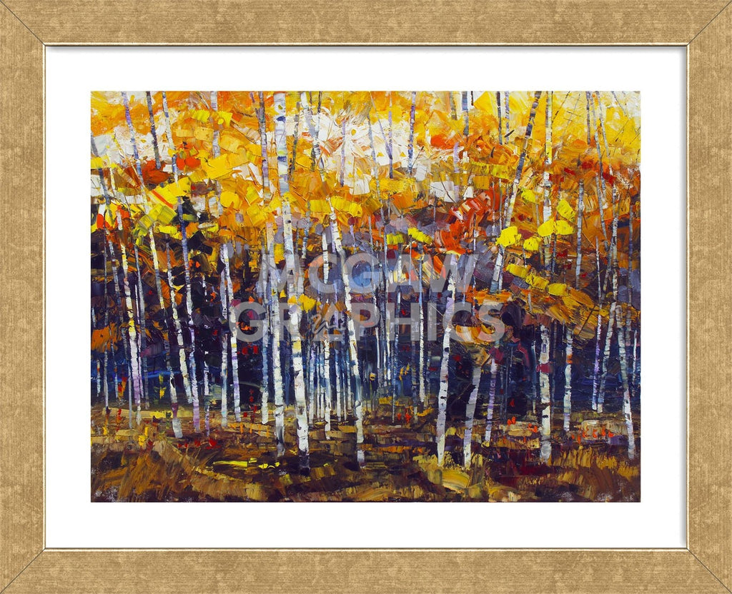 Depth of Autumn (Framed) | McGaw Graphics