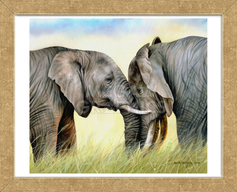 African Elephants (Framed) | McGaw Graphics