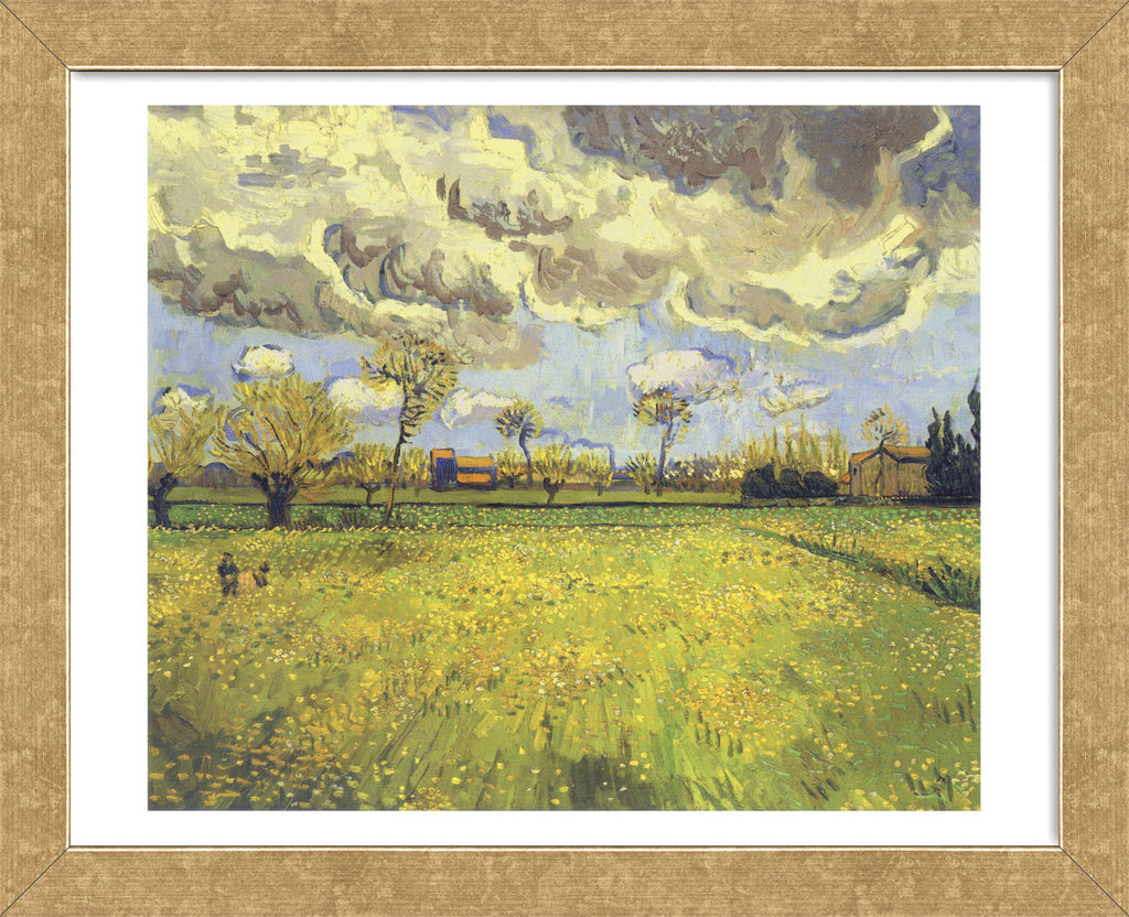 Meadow with Flowers under a Stormy Sky, 1888 (Framed) | McGaw Graphics