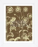 Chrysanthemum 3 (Framed) -  Botanical Series - McGaw Graphics